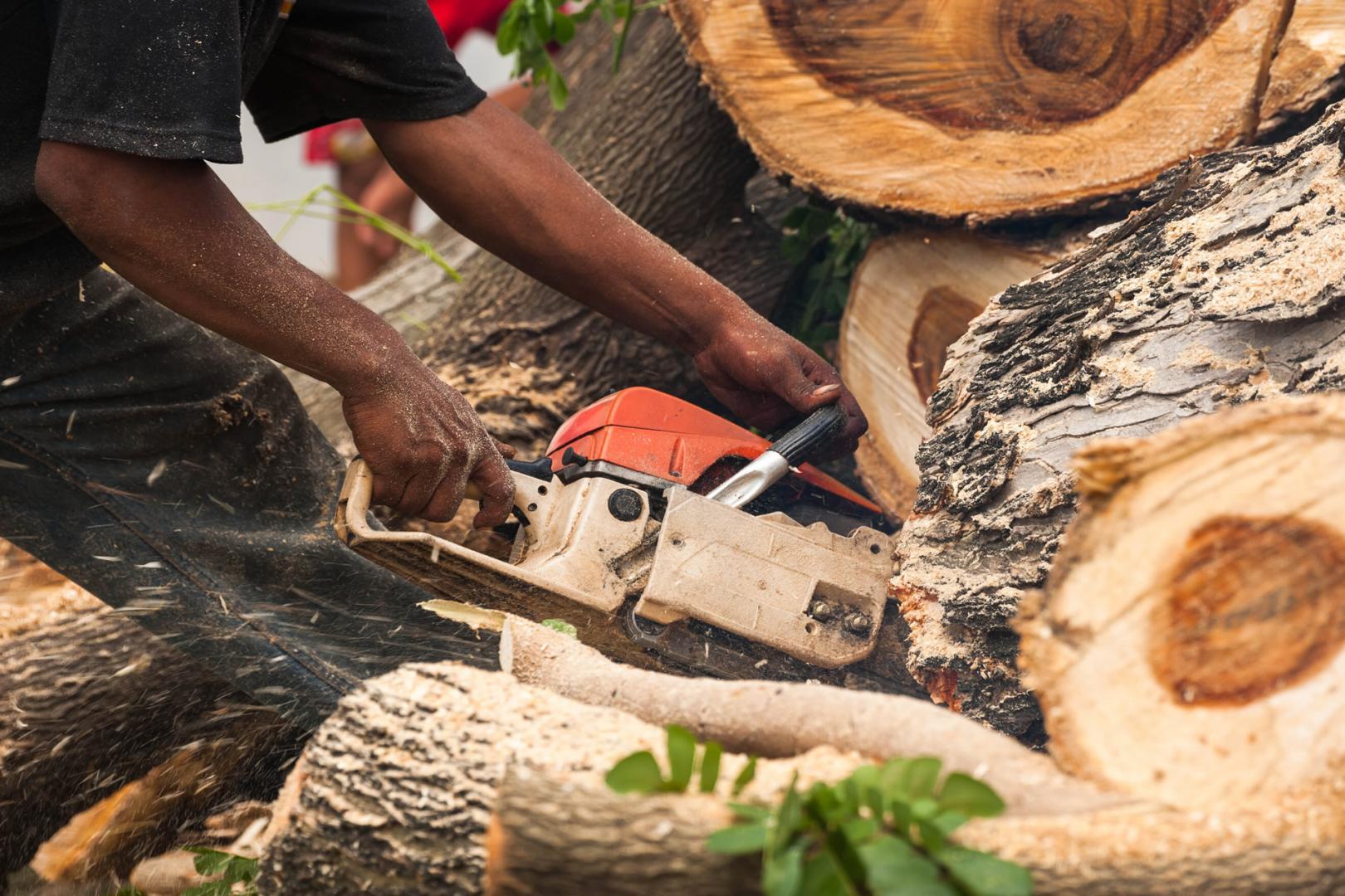 Marquage de bois Haute-Loire