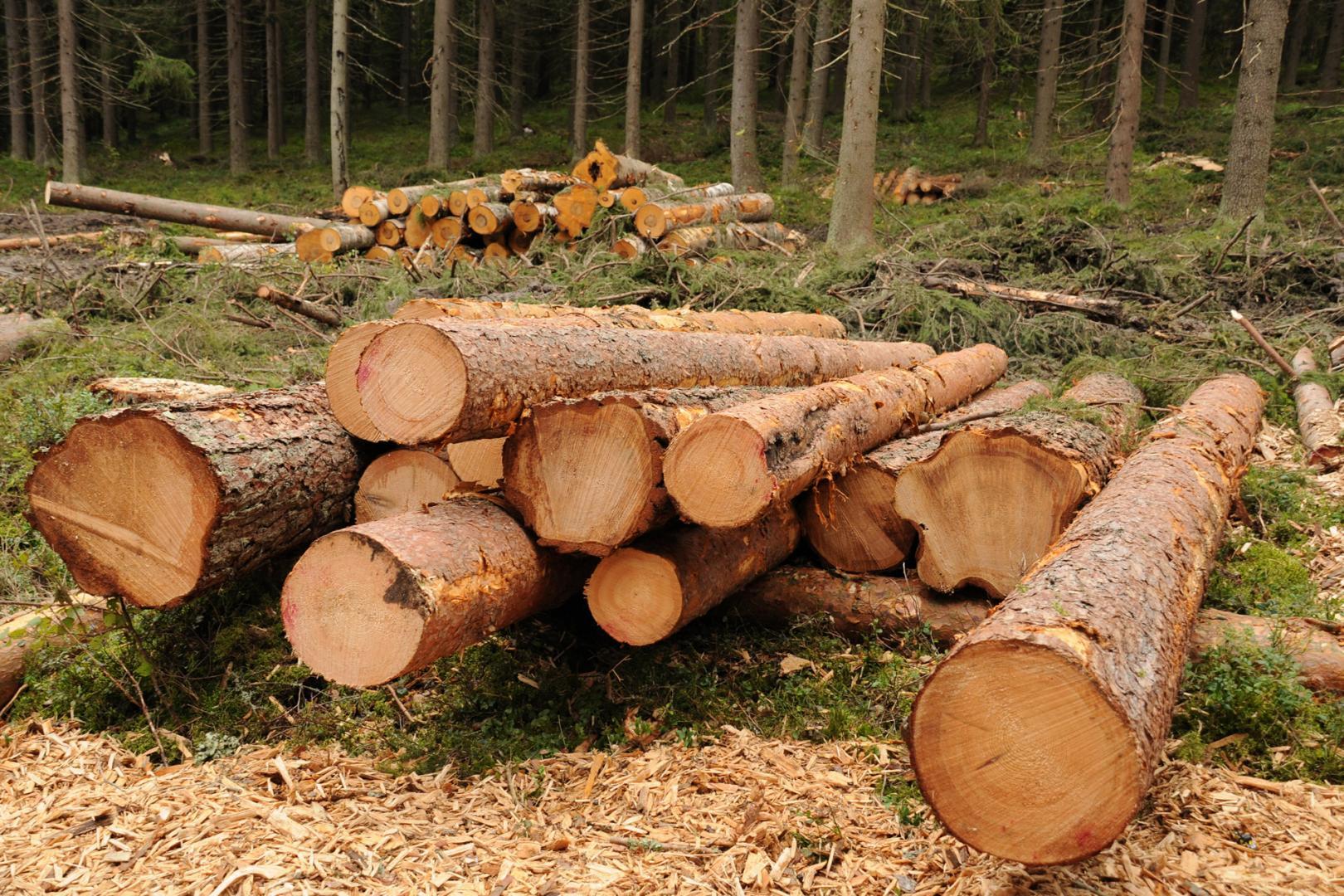 Commercialisation de bois Haute-Loire